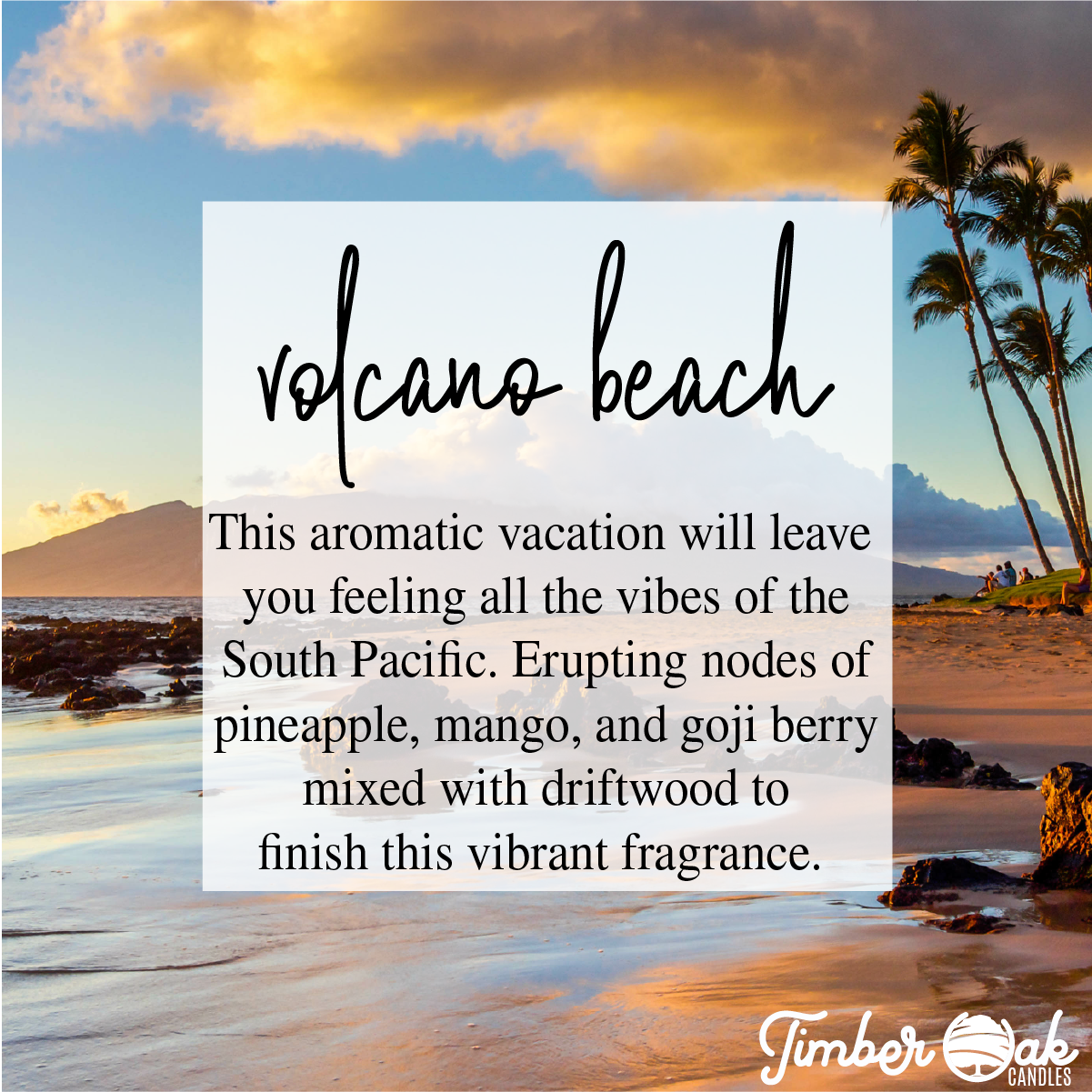 Volcano Beach 8oz Mason Jar Candle | Timber Oak Volcano Beach Pure Soy Candle