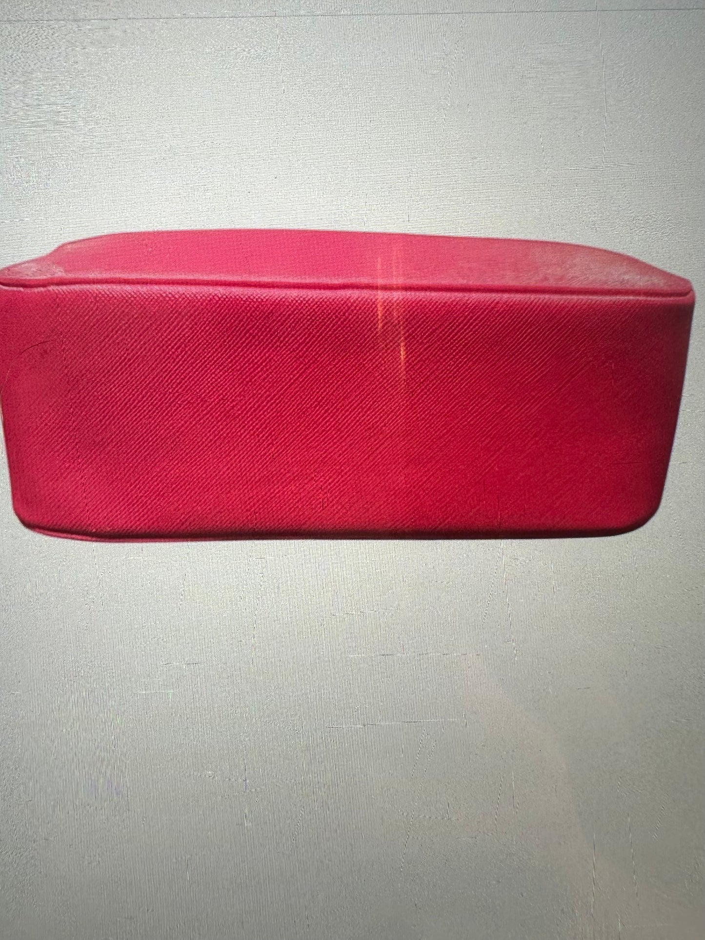Valentino Orlandi Fuchsia Purse | Fuchsia Camera Handbag Purse