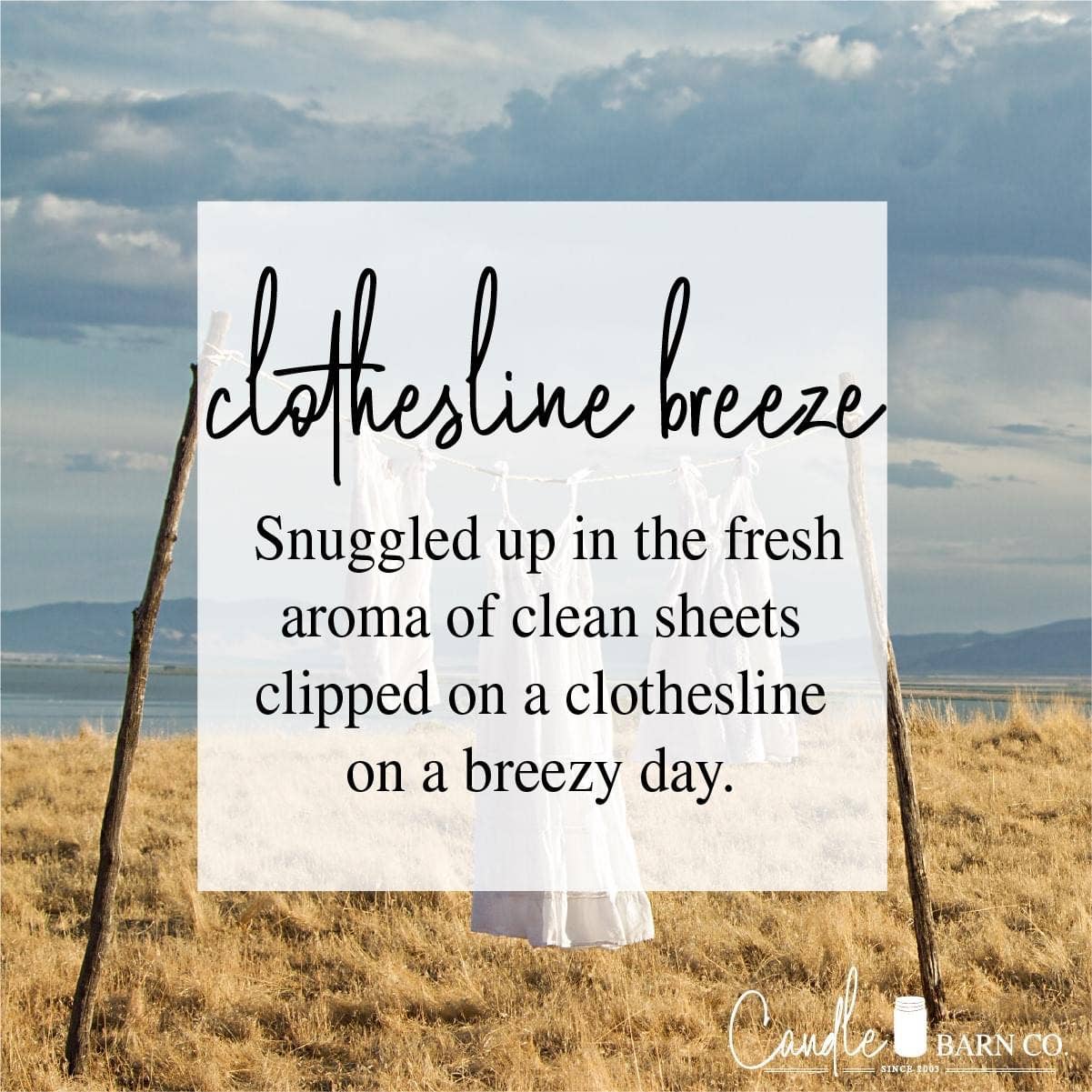 Clothesline Breeze 6oz Wax Melts | Timber Oak Clothesline Breeze Wax Melts